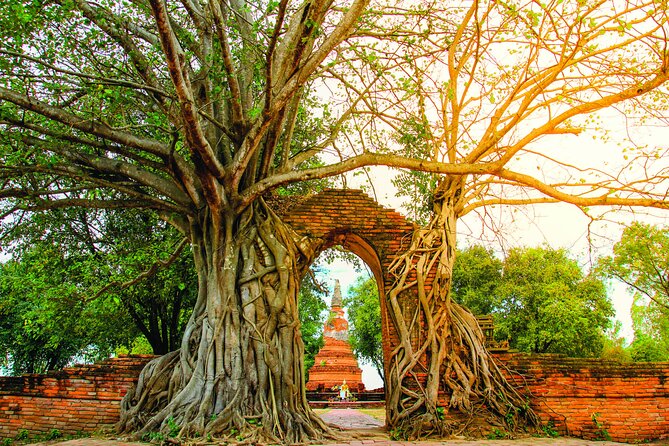Ayutthaya Sunset Boat & UNESCO Temples: Multi-language private tour from Bangkok - Wat Mahathat and the famous Buddha head