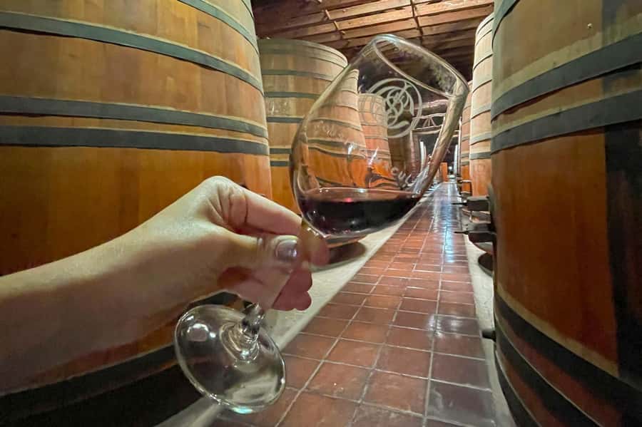 Bahá'i Temple and Cousiño Macul Vineyard - Who should book this experience?