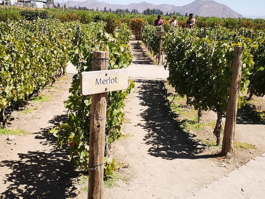 Bahá’í Temple, Winery and Lapis Lazuli + Private Transport - Who will get the most from this tour