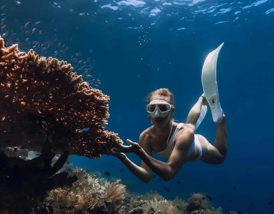 Bali/Amed: Underwater Temple Snorkeling Experience - Four underwater stops, each with a different mood