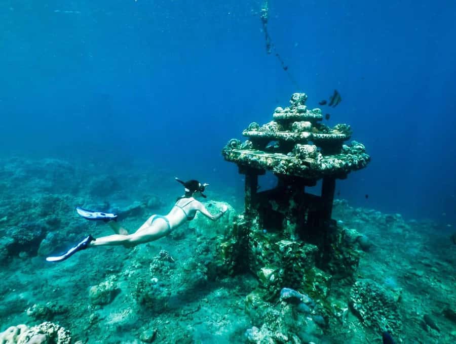 Bali/Amed: Underwater Temple Snorkeling Experience - Tirta Gangga and Virgin Beach for the full-day option