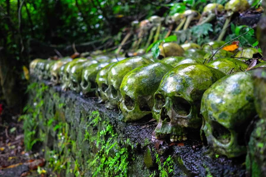 Bali/Batur: Mystical & Burial Rituals Tour with Kehen Temple - Key points at a glance