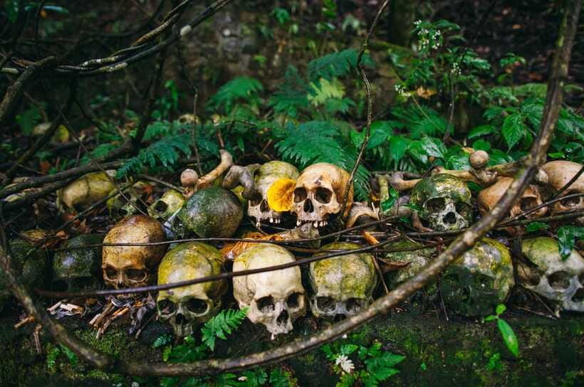 Bali/Batur: Mystical & Burial Rituals Tour with Kehen Temple - Who should book this experience