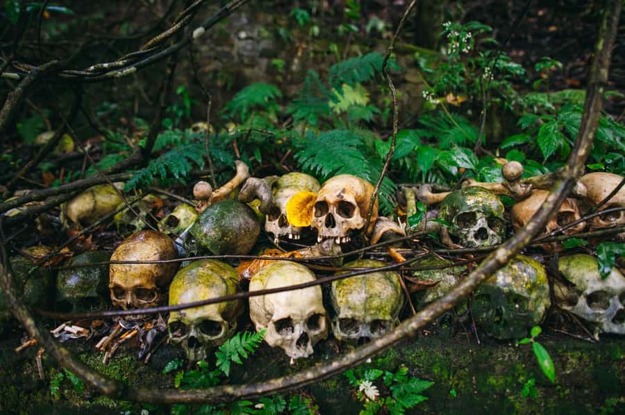 Bali/Batur: Mystical & Burial Rituals Tour with Kehen Temple - Trunyan Cemetery and the Taru Menyan tree