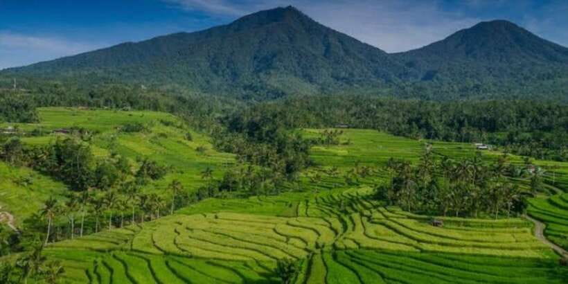 Bali: Bedugul, Jatiluwih, Taman ayun, Tanah lot private tour - The $38 price and who gets the best value