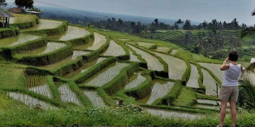 Bali: Bedugul, Jatiluwih, Taman ayun, Tanah lot private tour - What to bring and how to prepare