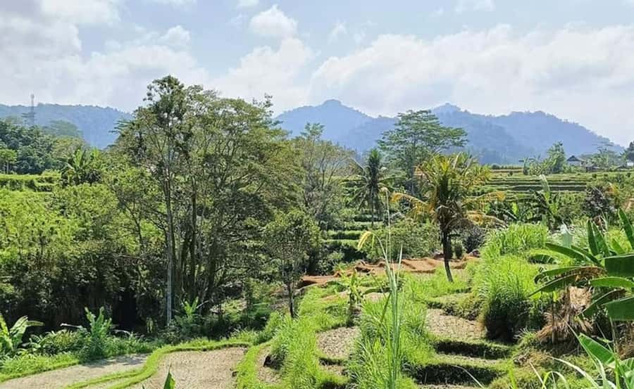 Bali: Besakih Temple and Sidemen Tour - Besakih Temple on the slopes of Mount Agung