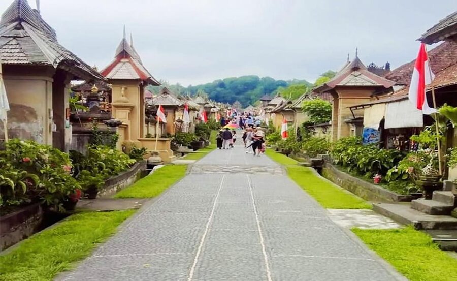 Bali: Besakih Temple and Sidemen Tour - What the private car changes