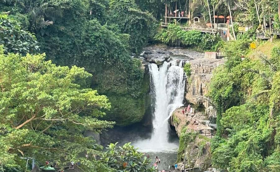 Bali: Besakih Temple and Sidemen Tour - Who should book this Bali tour
