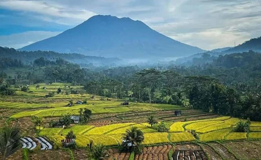 Bali: Besakih Temple and Sidemen Tour - Sidemen rice fields and the cool air of Karangasem