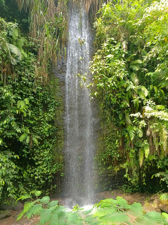 Bali : Day Trip to Besakih Temple & 2 Hidden Waterfalls - Lunch near the rice fields