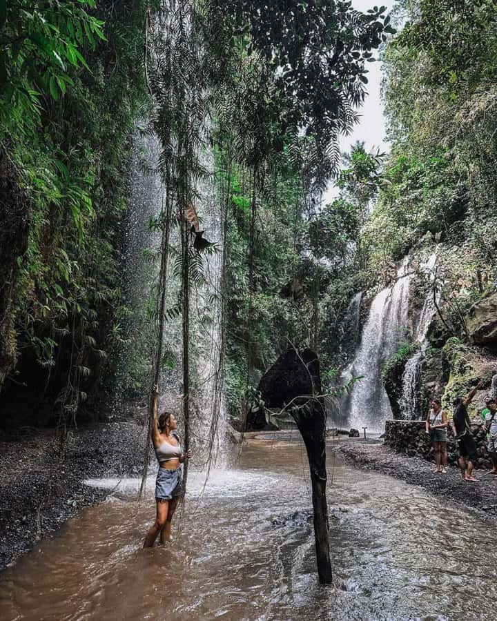 Bali : Day Trip to Besakih Temple & 2 Hidden Waterfalls - Who should book this day trip