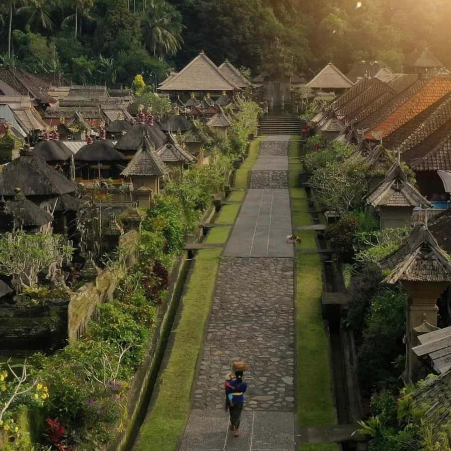 Bali : Eastern Bali and Pura Besakih Temple Tour - The Bamboo Forest offers a quieter walk
