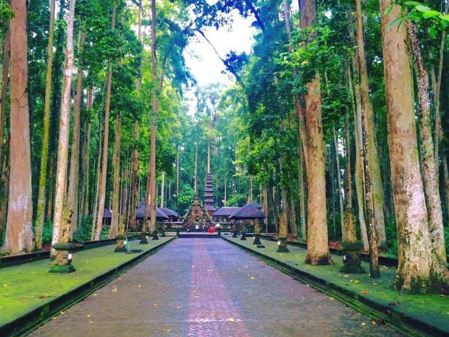 Bali: Full-Day Tour of Nungnung Waterfall, Tanah Lot Tample - A full Bali day built around three very different stops