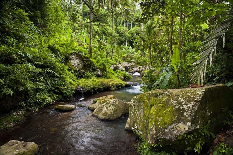 Bali: Gunung Kawi Temple & Pakerisan UNESCO Guided Tour - How the $18 price holds up