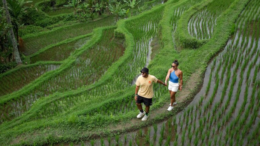 Bali: Heaven Swing, Beratan temple, Rice Terrace - Taman Ayun: Bali’s royal temple setting