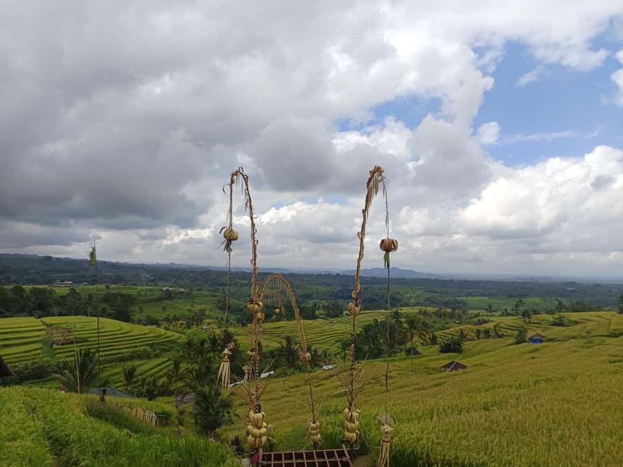 Bali in 1 Day : Iconic temples -UNESCO Sight - All inclusive - Jatiluwih, where the day opens up