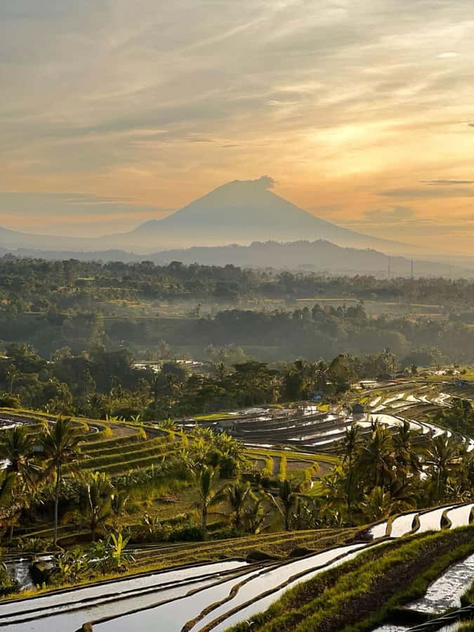 Bali: Jatiluwih UNESCO, Bratan Lake, Iconic Gate & Tanah Lot - Handara Gate is a quick photo stop