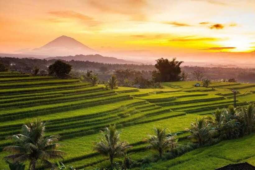 Bali: Jatiluwih UNESCO, Bratan Lake, Iconic Gate & Tanah Lot - The driver matters more than the vehicle