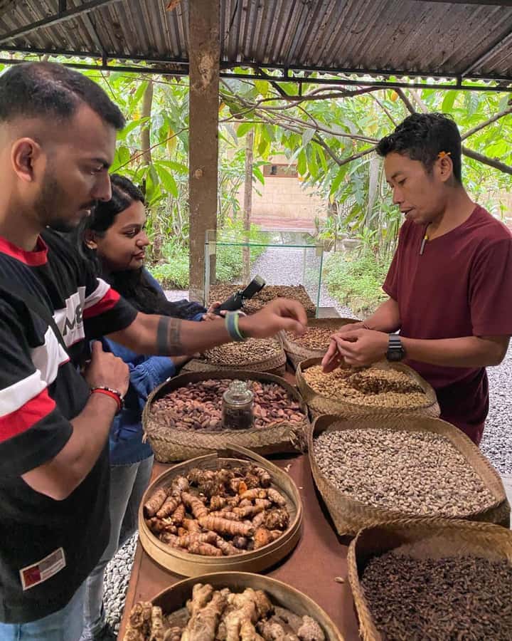 Bali: Kintamani Cafe, Waterfall, Temple and Cretya Ubud Tour - Why the private car changes the day