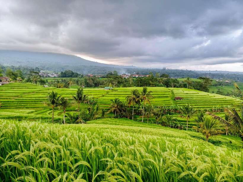 Bali: Lake Temple, Jatiluwih Rice Terrace & Waterfall Tour - Ulun Danu Beratan and the lake temple