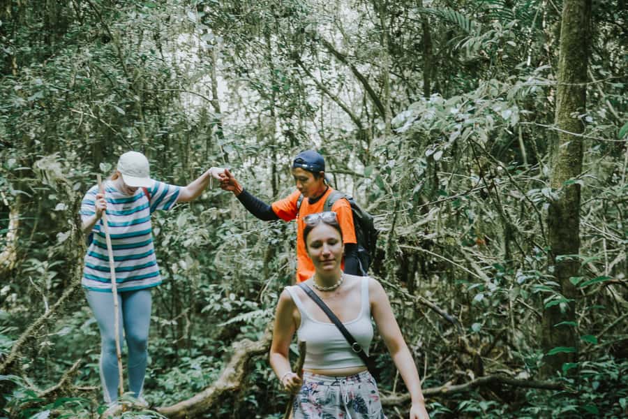 Bali: Munduk Waterfalls Trek, Twin Lakes and Temple Tour - Key points to know before booking