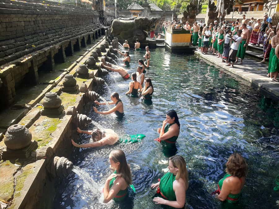 Bali: Purification at Tirta Empul Temple - Tegallalang Rice Terrace and the lunch question