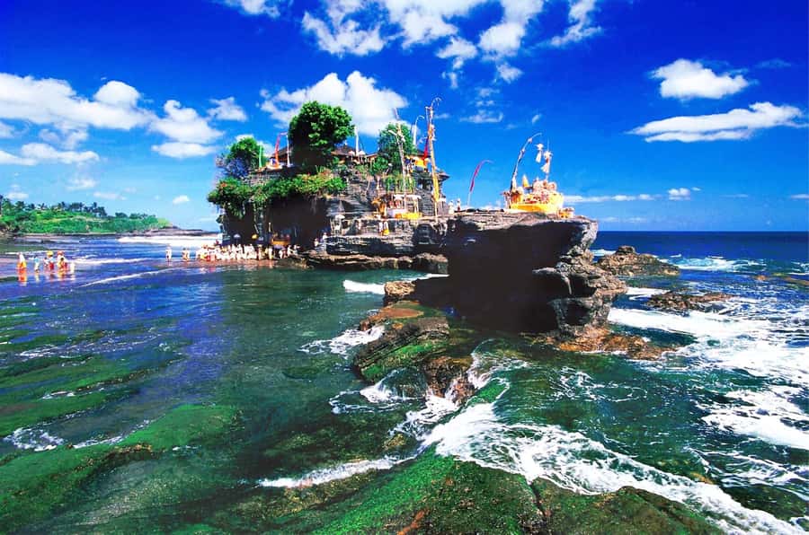 Bali: Royal Temple, Bedugul, and Tanah Lot Private Tour - Who will enjoy this Bali day trip?