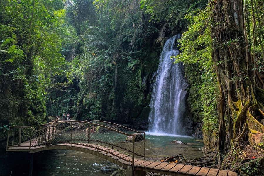 BALI :Sanctuary Monkey forest, rice terrace Water temple - Key points to know before booking