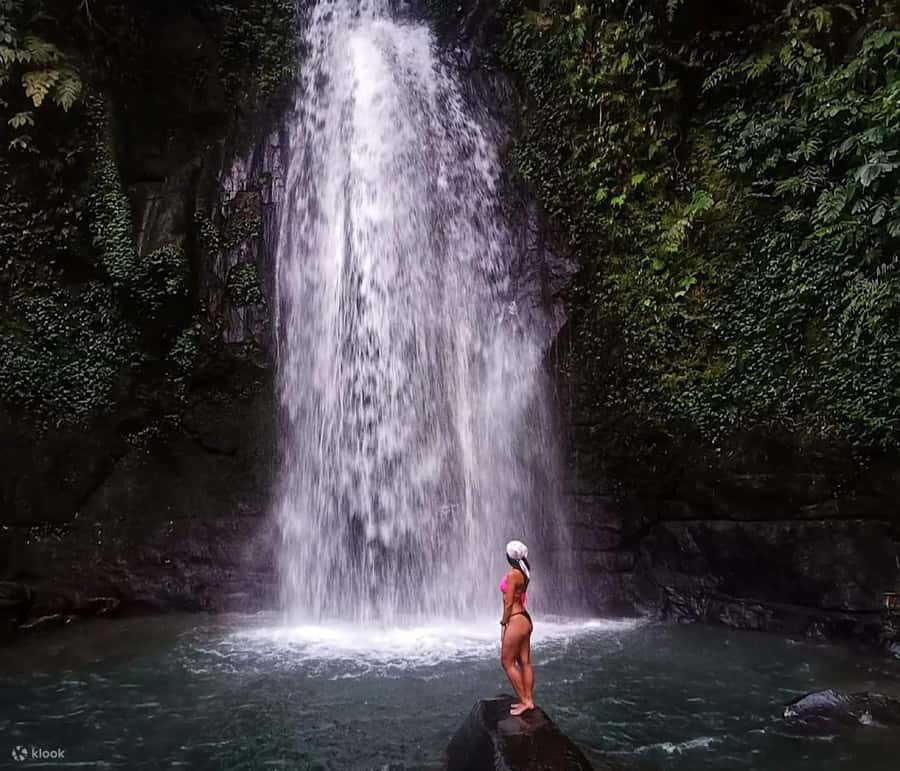BALI :Sanctuary Monkey forest, rice terrace Water temple - Who should choose this Ubud day trip?