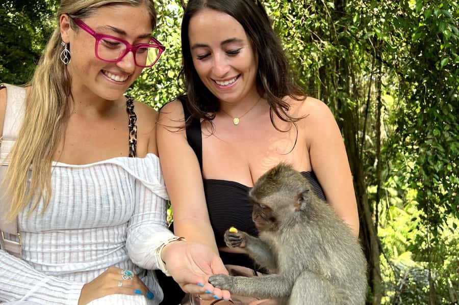 BALI :Sanctuary Monkey forest, rice terrace Water temple - A practical nine-hour route through Ubud