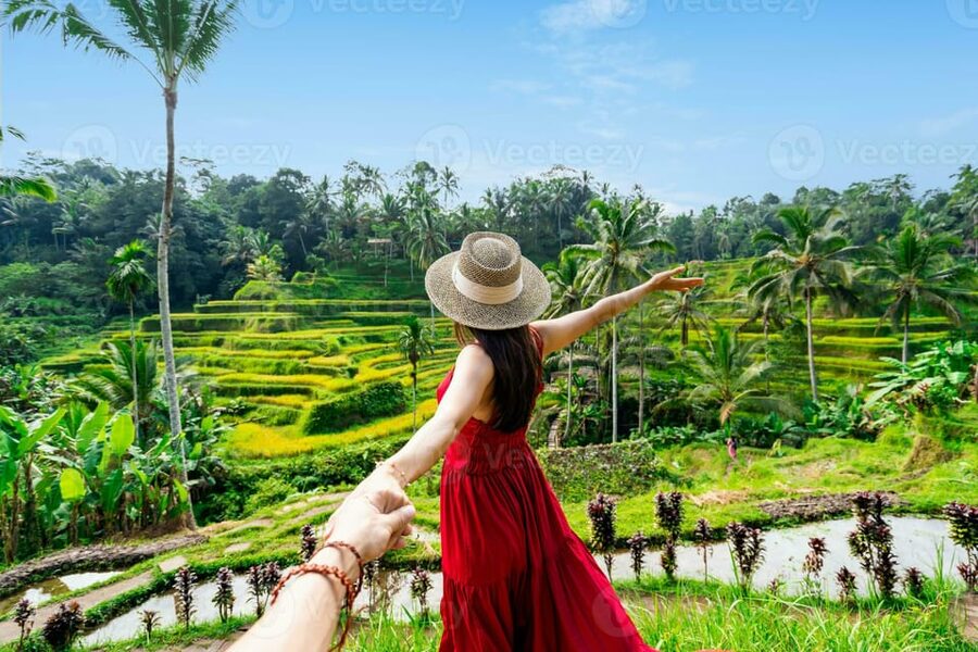 BALI :Sanctuary Monkey forest, rice terrace Water temple - What the $19 price really covers