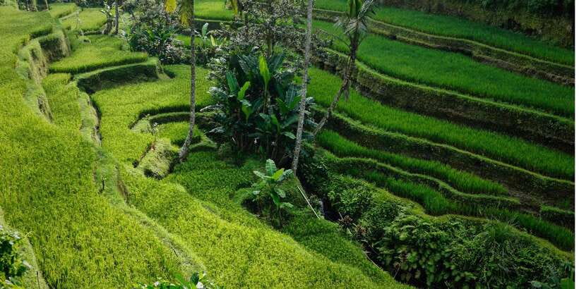 Bali: Secret Garden, Ulun Danu Temple and Waterfall Tour - What the $42 price really covers