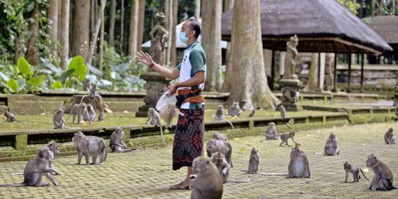 Bali Secret Waterfalls with Ulun Danu Beratan Temple Tour - Why this route works for a first Bali day trip