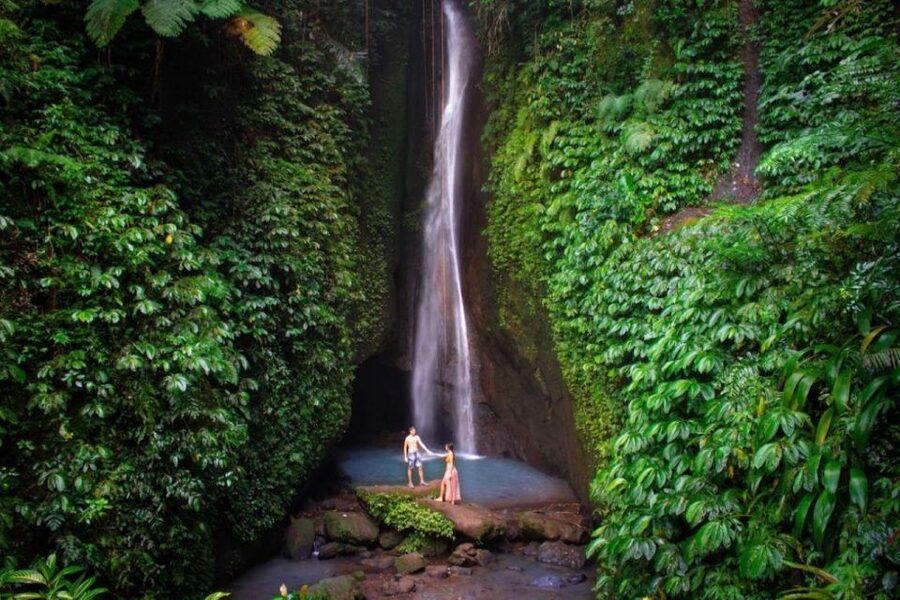 Bali Secret Waterfalls with Ulun Danu Beratan Temple Tour - Who should book this Bali tour?