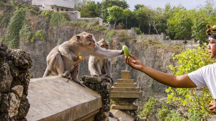 Bali: Sunset Uluwatu Temple & Kecak Fire Dance Private Tour - Skip-the-line access and seating