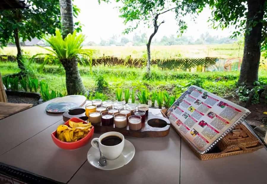 Bali: Taman Ayun, Jatiluwih, Ulun Danu, and Monkey Forest - What this Bali day tour is really like