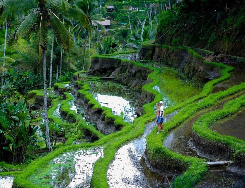 Bali: Tanah Lot, Jatiluwih Terrace, & Ulundanu Beratan Tour - Ulun Danu Beratan beside Lake Beratan