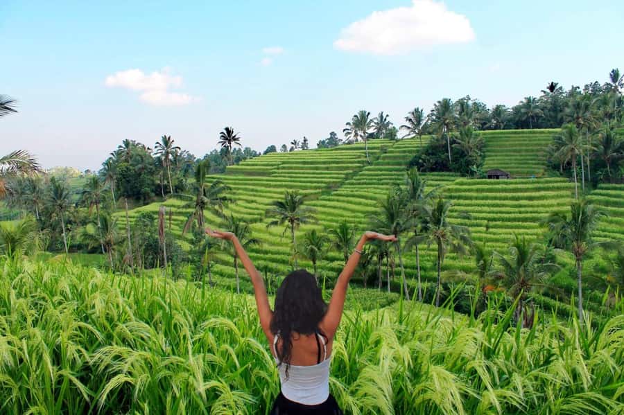 Bali: Tanah Lot, Jatiluwih Terrace, & Ulundanu Beratan Tour - Practical packing advice