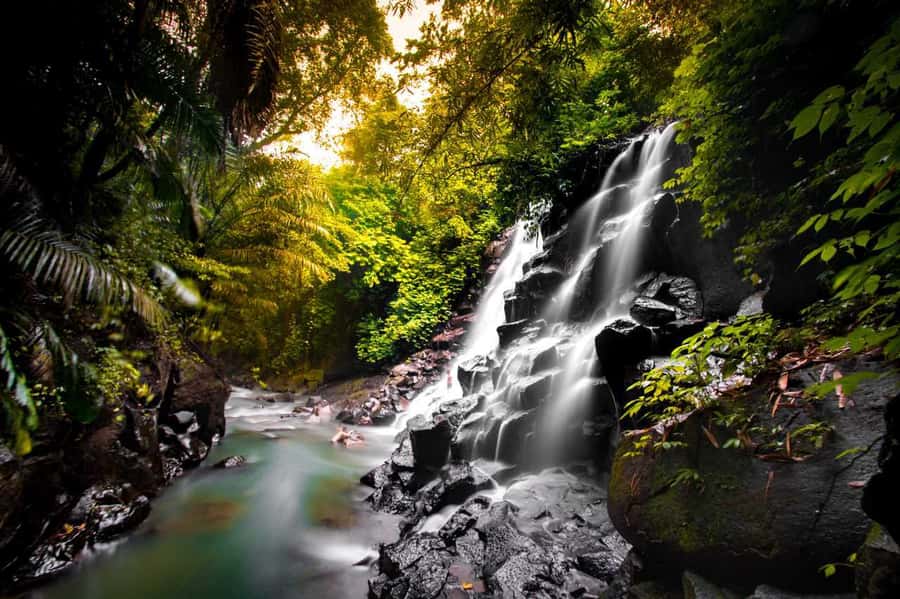 Bali: Ubud and Tanah Lot Small Group Guided Tour - Key points to know before booking