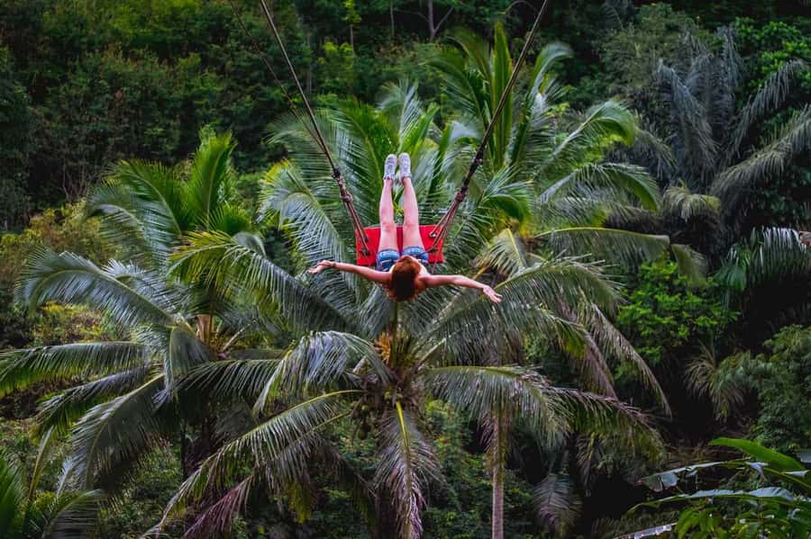 Bali: Ubud and Tanah Lot Small Group Guided Tour - Who will enjoy this tour most?