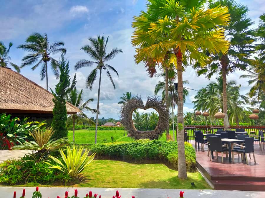 Bali: Ubud, Monkey Forest, Ancient Temple, Waterfalls - Tegalalang Rice Terrace and the classic Bali view