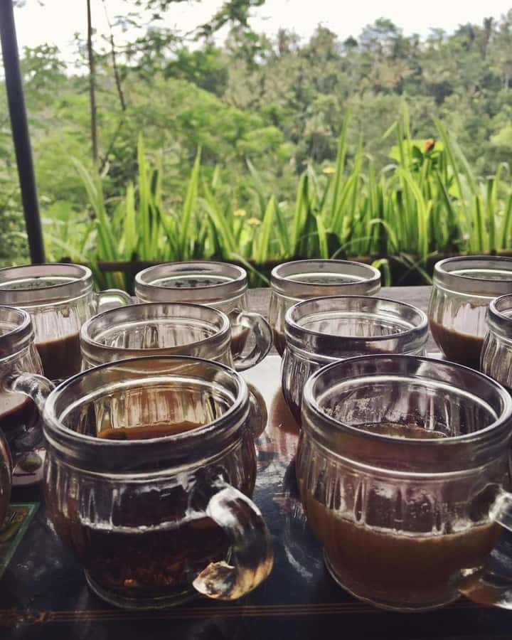 Bali ubud : monkey forest, waterfall , temple - What this Ubud route is really trying to show you