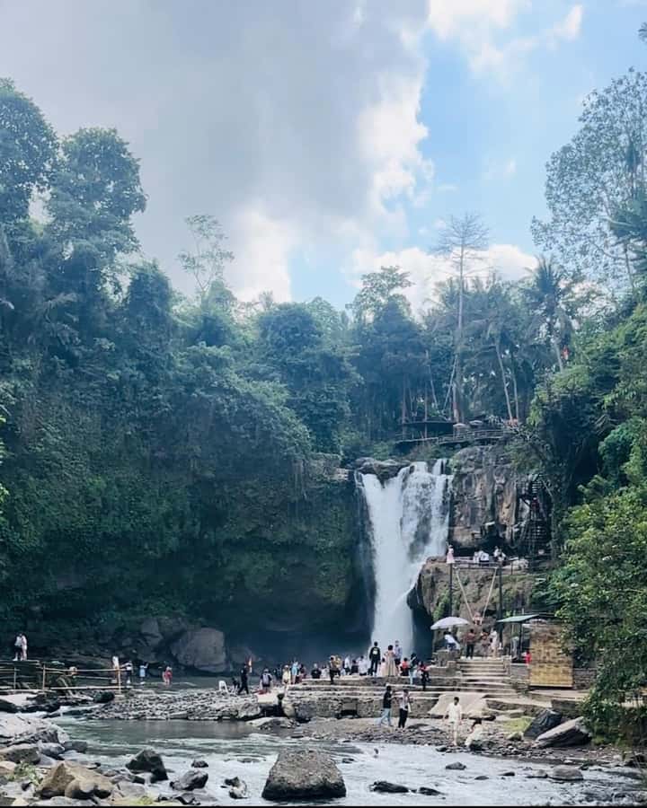 Bali ubud : monkey forest, waterfall , temple - Tirta Empul and Balinese water rituals