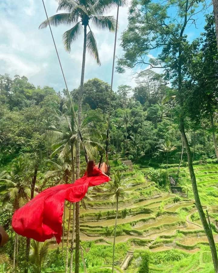 Bali ubud : monkey forest, waterfall , temple - What the $23 price does and does not cover