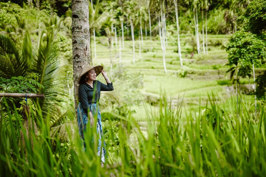 Bali: Ubud, Tegalalang, and Tanah Lot Temple Day Trip - Should you book this Bali day trip?