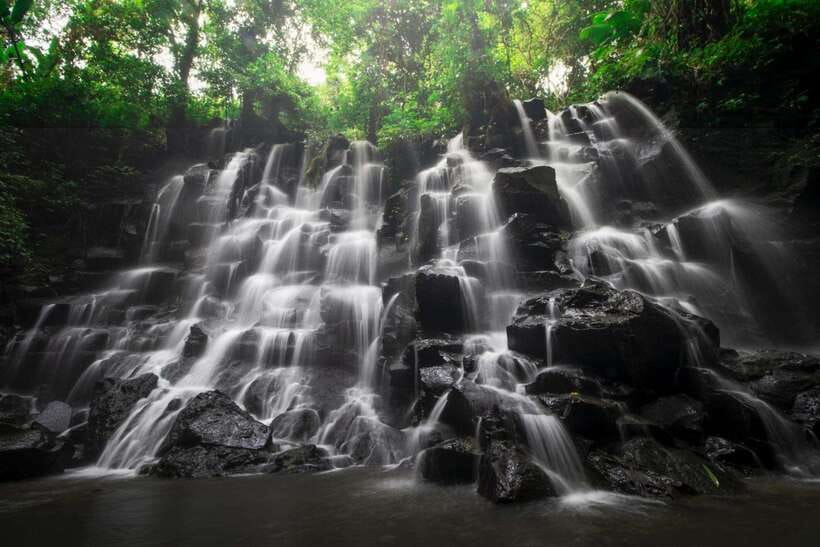 Bali: Ubud Tour with Tirta Empul Temple and Rice Terrace - Tegallalang Rice Terrace: the final scenic stop