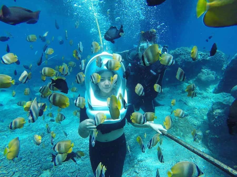Bali: Underwater Sea Walk, Uluwatu Temple, and Kecak Dance - Should you book this tour?