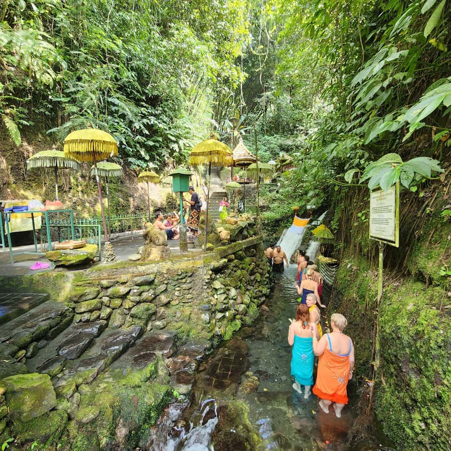 Balinese Purification at holy water temple with Local - What the Sebatu purification ritual really involves