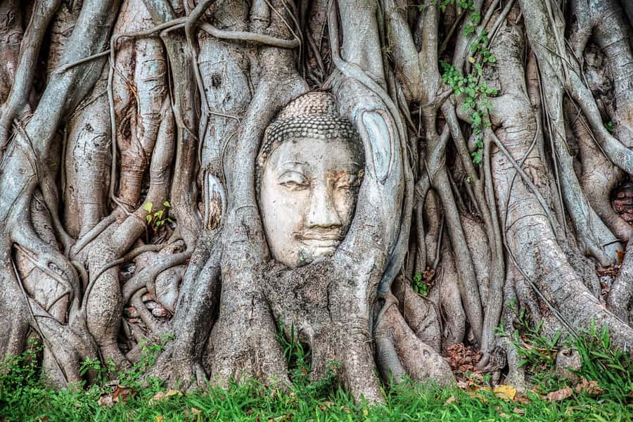 Bangkok: Ayutthaya & Lopburi Monkey Temple Private Day Trip - Wat Phra Si Sanphet and the Royal Ruins